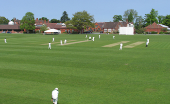 Shrewsbury Cricket